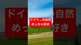 「ドイツ旅🇩🇪」電車から見える自然豊かなドイツ#ドイツ#電車#電車からの景色 #海外#自然#海外生活 #ドイツ暮らし #ドイツ語 #海外留学 #景色