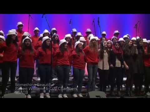 CORO MOZART - SOMETHING BEAUTIFUL (2013)
