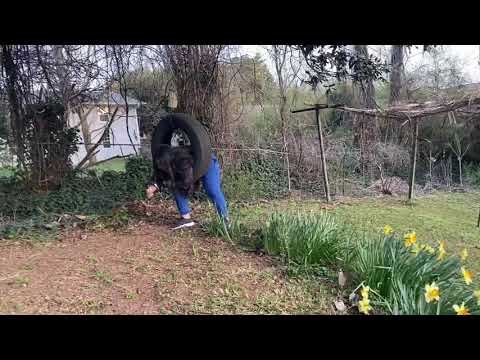 Areebah can’t jump 😀 watch upto the end😄😄