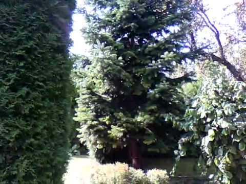 Modecom FreeTab IPS X2 - obraz nagrany kamerką z tyłu