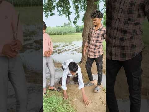 yiha yiha funny shorts 💥 //