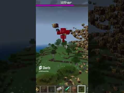 Bee Army Destroys The Wither!