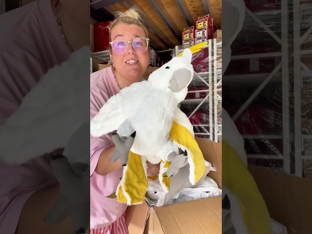 Vídeo relacionado con Wild Republic Flipkins Raccoon, Peluche, 12 cm, Juguete de Felpa, Relleno de Botellas de Agua Recicladas Hiladas