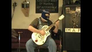 "Bird Seed Blues" (hoopiejohn original)