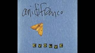 Ani Di Franco - Here For Now
