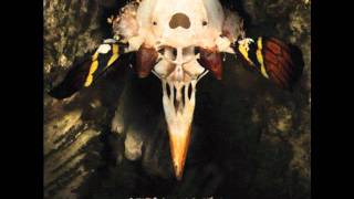 KEN Mode - Book of Muscle