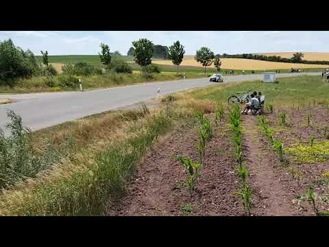 Grabfeldrallye 2023, Corsa F , Mistake