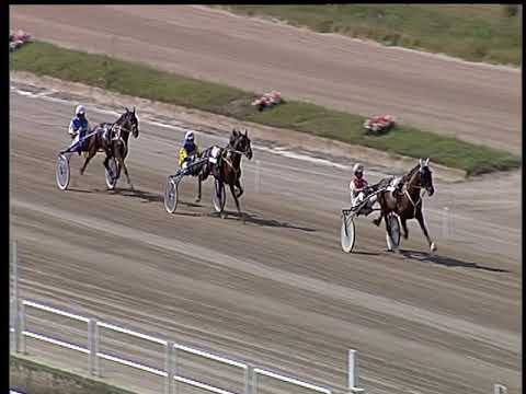 Trotto 14/09/2018 - 2ª prova di qualifica