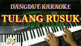 Download lagu TULANG RUSUK - RITA SUGIARTO - KARAOKE mp3