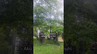 Download lagu Talbiyah is not just a reading #shorts #words of wisdom #islam #tauhid mp3