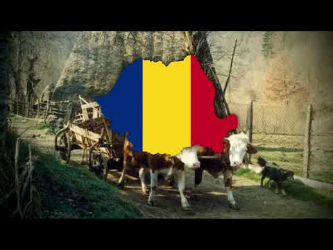 "Carul cu boi" - romanian folk traditionalist song