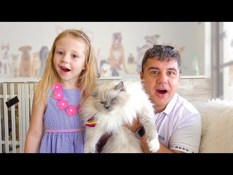 Stacy and Dad bought a kitten