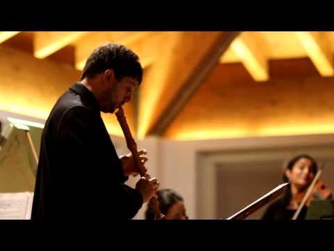 Telemann - Triosonata in D minor for recorder, violin and b.c. - Ensemble Estro Cromatico
