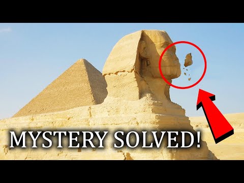 Il VERO motivo per cui non hanno naso!