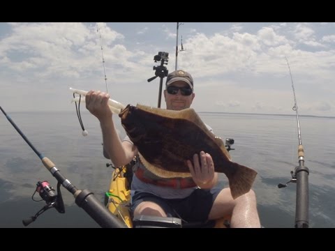 2016 Kayak Fluke Fishing Long Island Sound