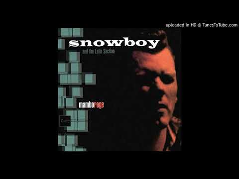 Snowboy & The Latin Section - The New Avengers (1998)