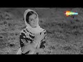 Are Husn Chala Shammi Kapoor Saira Banu Bluff Master 1963 Lata M Md Rafi