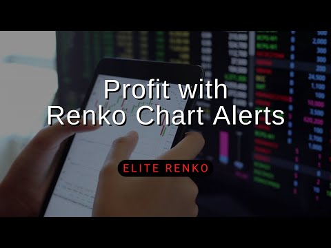 Video Elite Renko