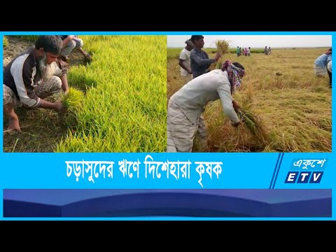 ঋণের খপ্পরে দেশের কৃষক