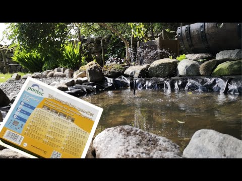 Watch Video on YouTube