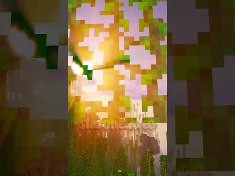 Staronethree - Flying Through The Jungle in Minecraft