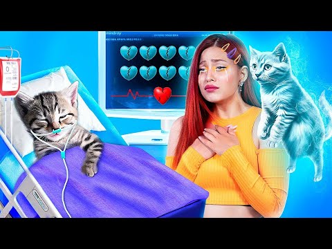 Rette Diese Winzige Katze! Geheime Hacks für Haustierbesitzer!