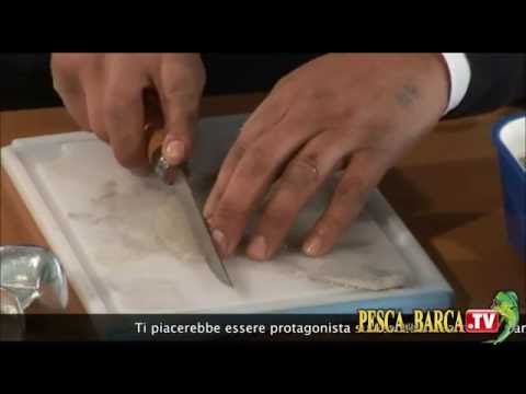 Come pulire vermi di case Fondi da parassiti per m