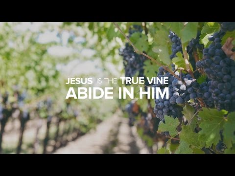 Jesus Unboxed - Jesus is the True Vine: Abide in Him and Bear much Fruit - Peter Tanchi Jr.