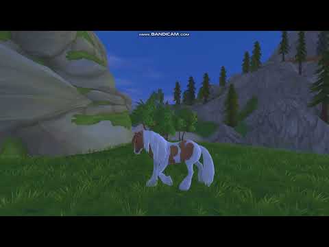 SHAEDxZAYN-trampoline SSO