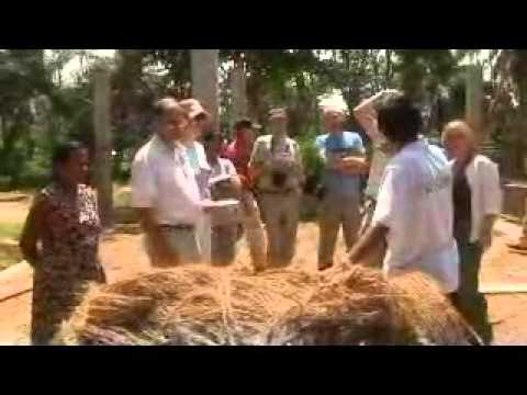 Tsunami 1212 - Sri Lanka