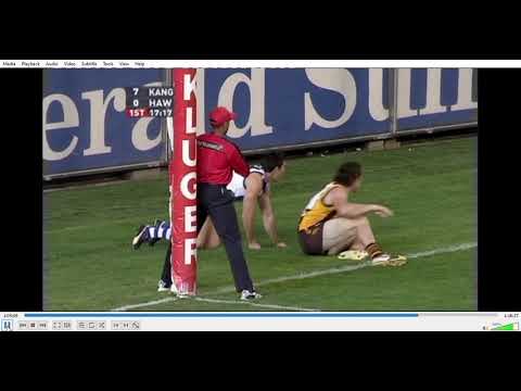 Semi Final 2007 Hawthorn North Melbourne MCG AFL 2007 Aaron Edwards