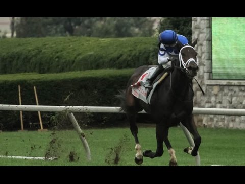 Queen Anne Stakes 2.10 Royal Ascot WINNER 11/2 BOG!!! Selection...