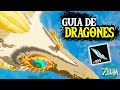 ✨¡Cómo FARMEAR DRAGONES Fácil y Rápido! | Elden, Nayen, Faren y Dragon Blanco [Rutas] Zelda Tears