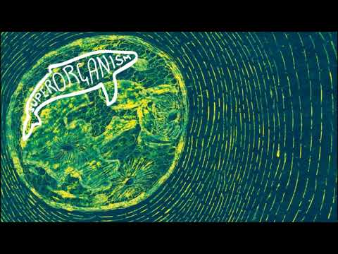 Video thumbnail for SPRORGNSM