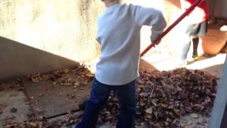 Winter leaves - Lost Direction - Beecake