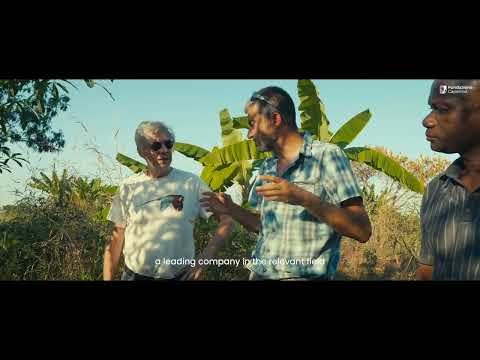 Elephant Corridor in Tanzania