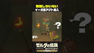 無能しかいないイーガ団アジト潜入【ゼルダの伝説 ブレワイ】