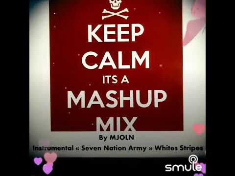 Mashup by MJOLN : White Stripes - Eurythmics - Lenny Kravitz - Red Hot Chili Peppers - Madonna