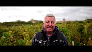 A tale of 2 families