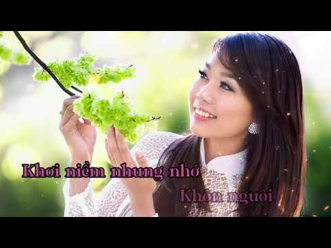 TÌNH MƯA PHƯƠNG BẮC