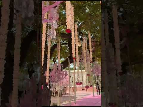 Wedding Decorator portfolio by Fleur And Decor in Delhi - Photo 1 Wedding Decorator portfolio by Fleur And Decor in Delhi - Photo 1
