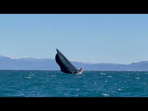 IGWC - Tappa finale con gli H22