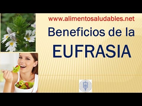 download lagu mp3 mp4 Eufrasia, download lagu Eufrasia gratis, unduh video klip Eufrasia
