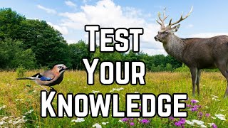 The Great Big Wildlife Quiz!