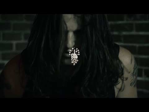 Fox N’ Vead -Coulda Been Something (Music Video)