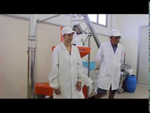 Servizio Polenta di Beura