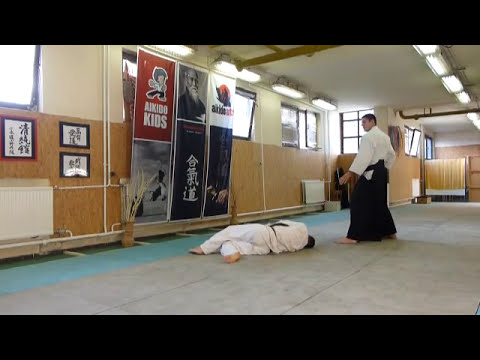 yokomen uchi shihonage omote [AIKIDO]  basic technique
