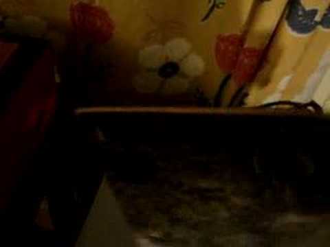 Gnidrolog Lady Lake LP