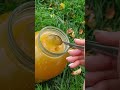 Почему мёд засахаривается?#башкирскиймед #мед #орехивмеду #креммед #пасека #орехи #мёд #соты