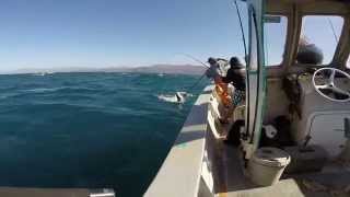 preview picture of video 'Ejido erendira fishing, castros landing, ensenada'